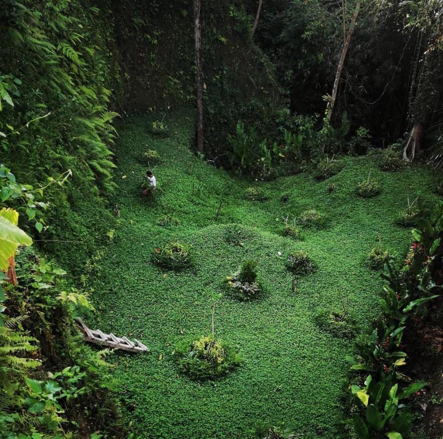 The Jungle Villa Ubud Exteriör bild