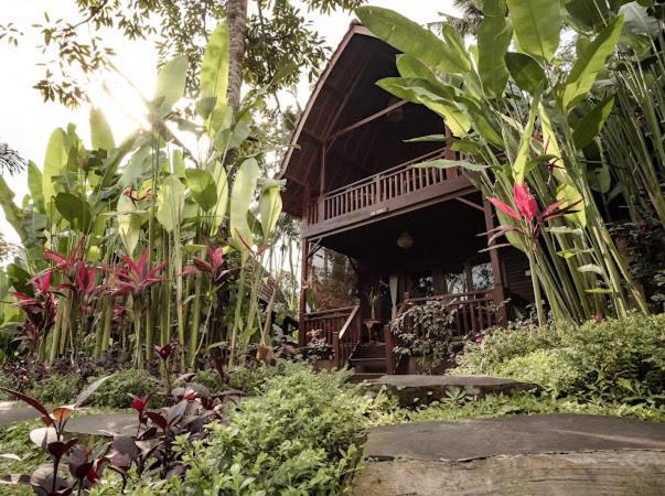 The Jungle Villa Ubud Exteriör bild