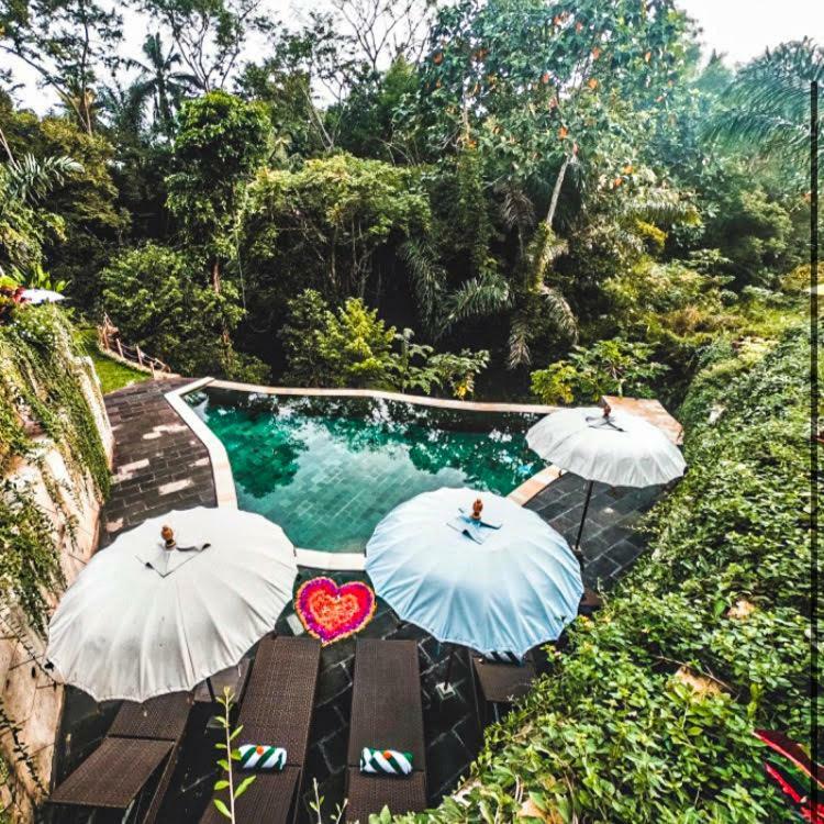 The Jungle Villa Ubud Exteriör bild